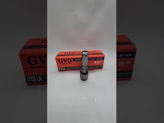 4307373 4307374 WZCNLXLX صمام الإغاثة SH60 SH160 DH80G